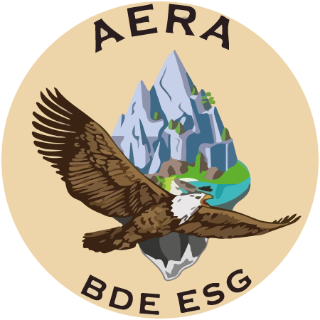 BDE Aera logo