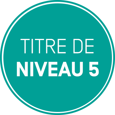 niveau-5.png