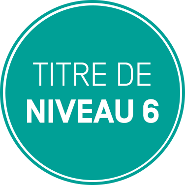 Titres certifiés de Niveau 6