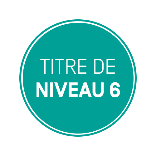 Titre de niveau 6